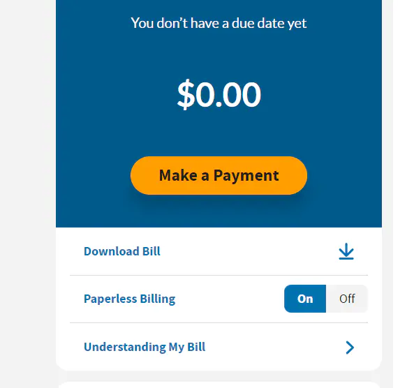 Bill download options showing Download Bill button with dropdown
