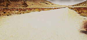 Tumbleweed