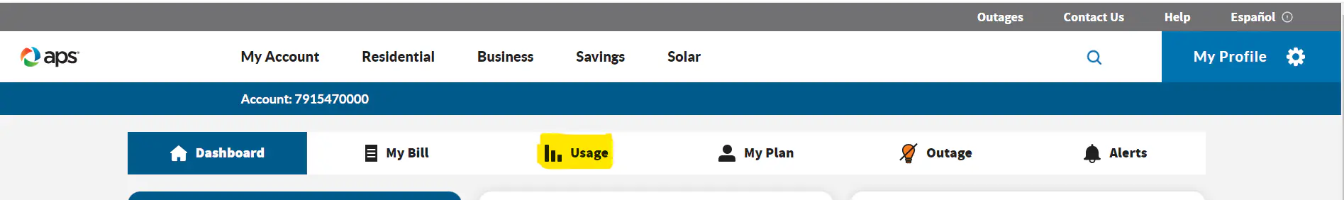 APS portal Usage tab navigation