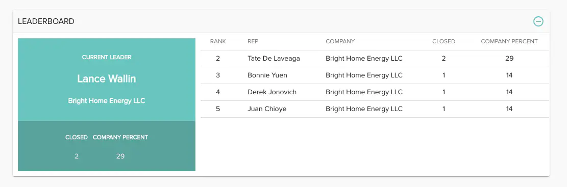 Solo leaderboard showing company sales rankings